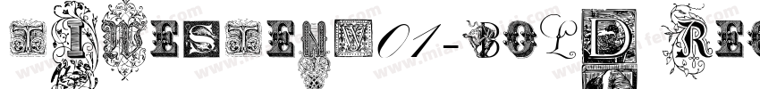 TimesTenW01-Bold Reg字体转换
